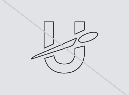 UDisc outline logo
