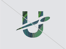 UDisc filled logo