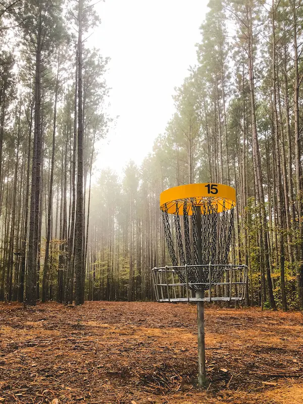 Basket in the woods